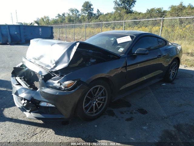 2015 Ford Fastback, VIN: 1FA6P8AM6F5335545