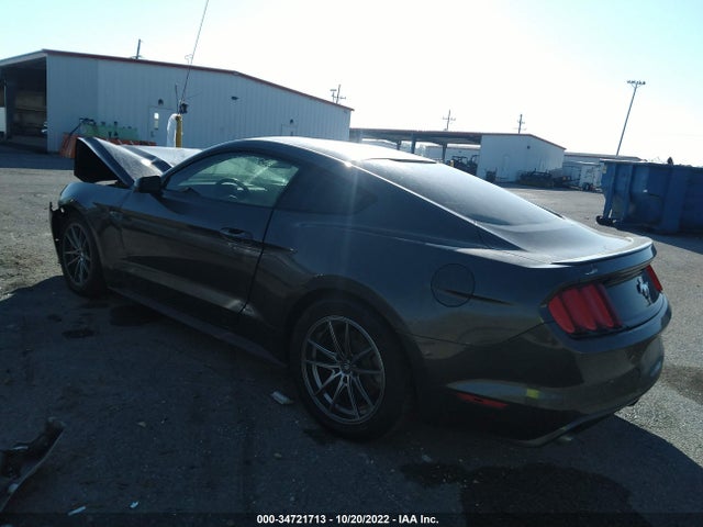 2015 Ford Fastback, VIN: 1FA6P8AM6F5335545