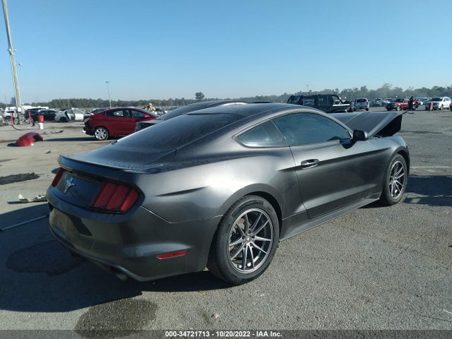 2015 Ford Fastback, VIN: 1FA6P8AM6F5335545