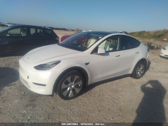 Tesla Model Y 2021 5YJYGDEE9MF187918 Image 2