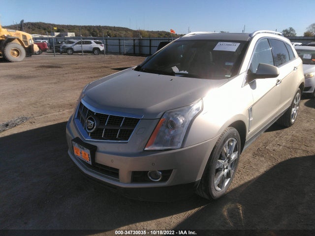 2010 CADILLAC SRX PERFORMANCE COLLECTION VIN: 3GYFNBEY8AS604230