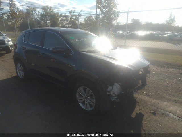 2017 KIA SPORTAGE LX VIN: KNDPMCAC3H7093953