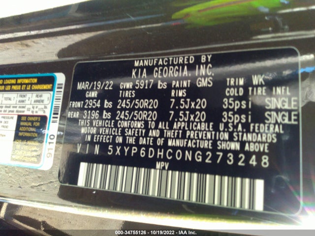 2022 KIA TELLURIDE S VIN: 5XYP6DHC0NG273248