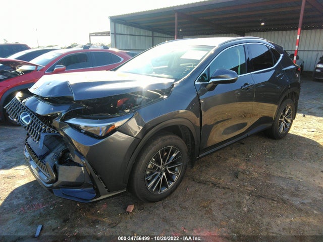 2022 Lexus NX, VIN: 2T2GKCEZ5NC005284