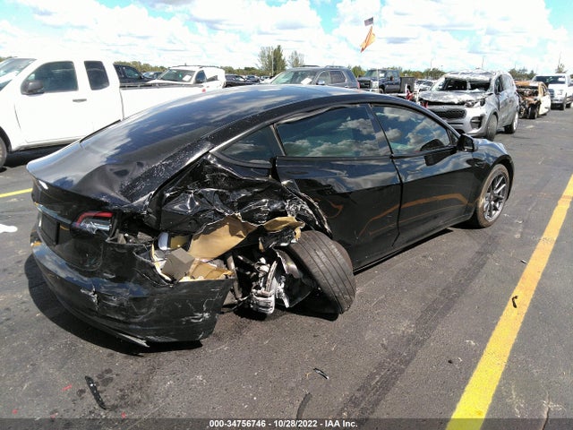 Tesla MODEL 3 2021 5YJ3E1EA4MF048842 Image 5