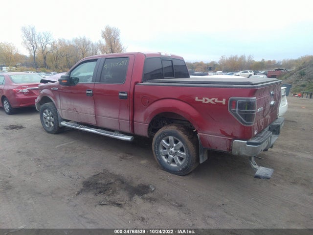 2013 FORD F-150 XL/XLT/FX4/LARIAT VIN: 1FTFW1EF8DKD37540