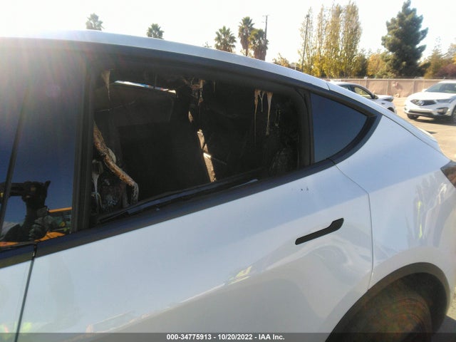 Tesla Model Y Long Range 2021 5YJYGDEE2MF214912 Image 6