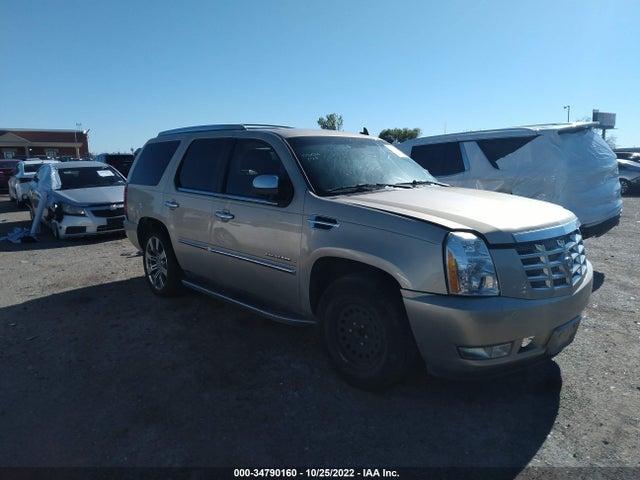2008 CADILLAC ESCALADE VIN: 1GYEC63848R173006