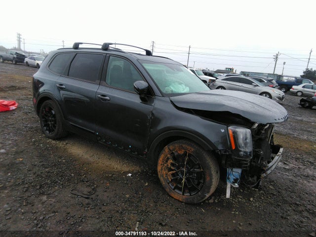 2021 Kia Telluride, VIN: 5XYP3DHC7MG145211