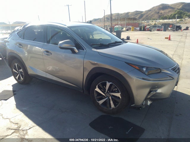 2020 Lexus NX, VIN: JTJGJRDZ1L2145059