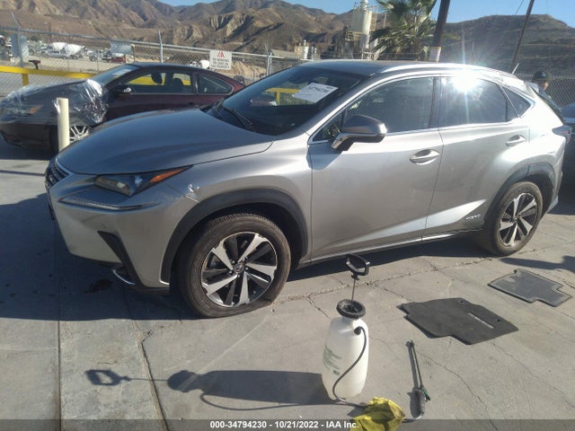 2020 Lexus NX, VIN: JTJGJRDZ1L2145059