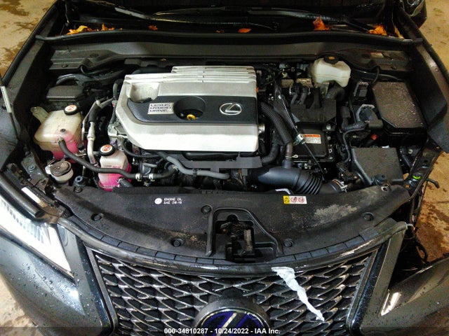 2019 Lexus UX, VIN: JTHU9JBH7K2018131