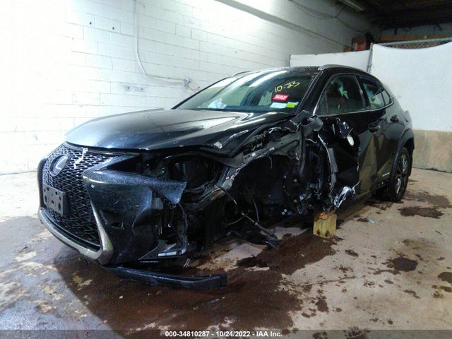 2019 Lexus UX, VIN: JTHU9JBH7K2018131