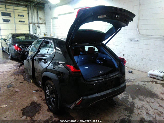 2019 Lexus UX, VIN: JTHU9JBH7K2018131