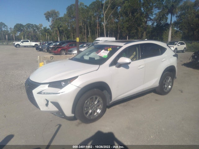 2020 Lexus NX, VIN: JTJDARBZ6L5016268