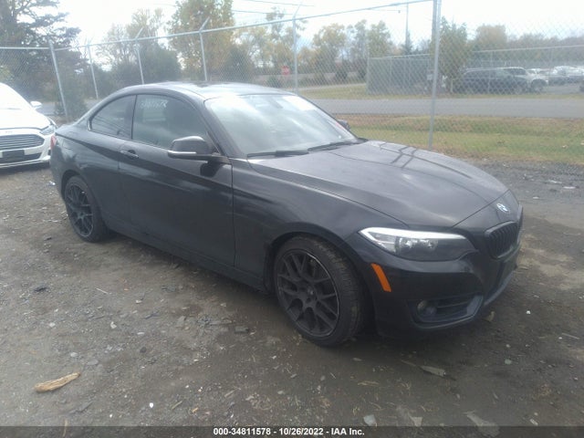 BMW 2 Series 228i 2016 WBA1F9C59GV546014 Image 1