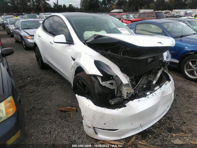 2022 TESLA MODEL Y LONG RANGE VIN: 7SAYGDEEXNF432942