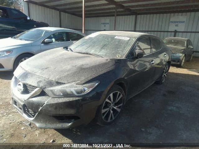 Nissan Maxima 3.5 S 2016 1N4AA6AP6GC416990 Image 2