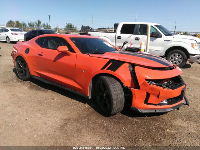 2019 1G1FB1RS4K0114948 main image