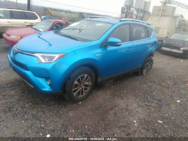 2017 Toyota RAV4, VIN: JTMRJREV2HD103776