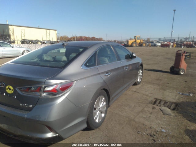 2019 Hyundai Sonata, VIN: KMHE24L39KA084566