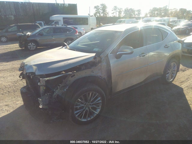 2022 Lexus NX, VIN: 2T2GKCEZ8NC007627