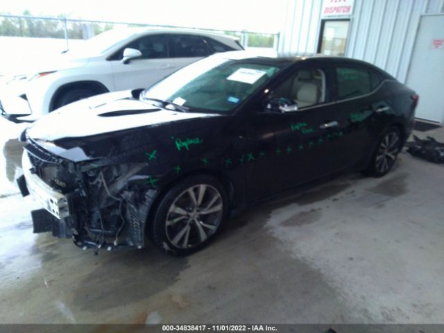 1N4AA6AP5GC391242 Nissan Maxima 3.5 Sl