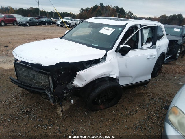 KIA Telluride Sx 2021 5XYP5DHC1MG163780 Image 2
