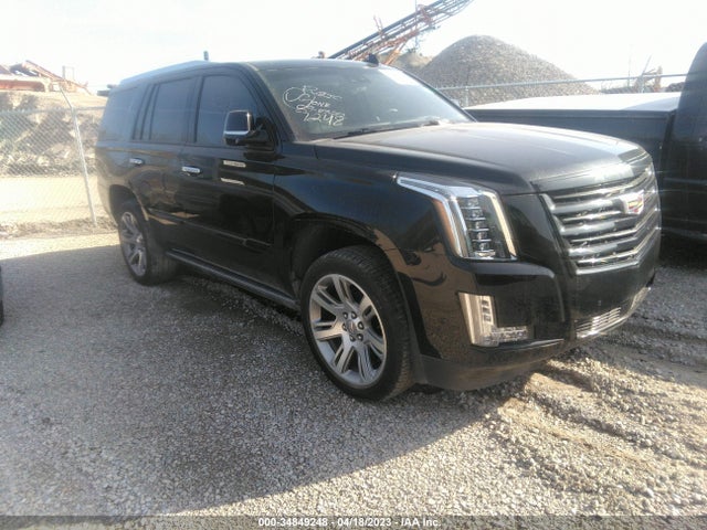 2020 CADILLAC ESCALADE 4WD PLATINUM VIN: 1GYS4DKJ0LR283049