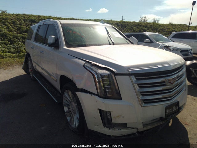 2019 Cadillac Escalade, VIN: 1GYS4KKJ1KR185988