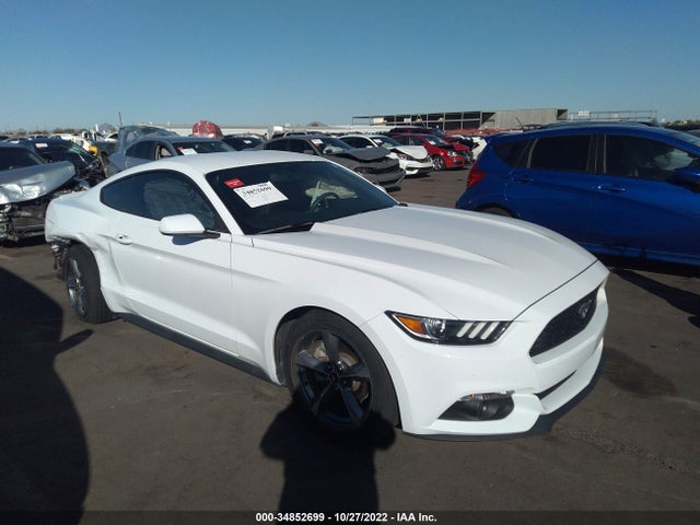 2015 Ford Fastback, VIN: 1FA6P8AM7F5345209