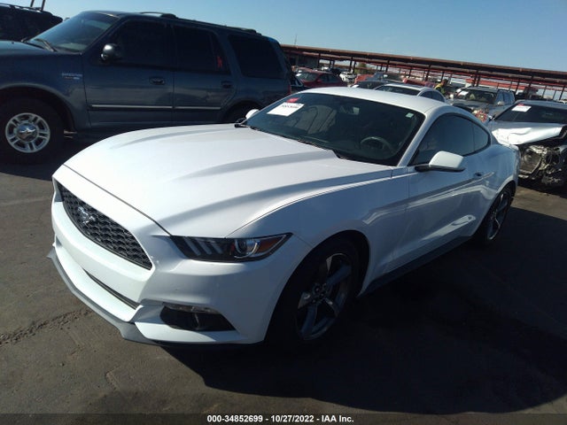 2015 Ford Fastback, VIN: 1FA6P8AM7F5345209