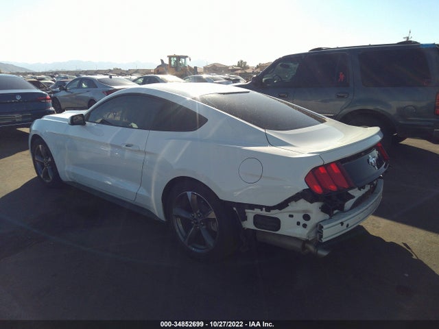 2015 Ford Fastback, VIN: 1FA6P8AM7F5345209