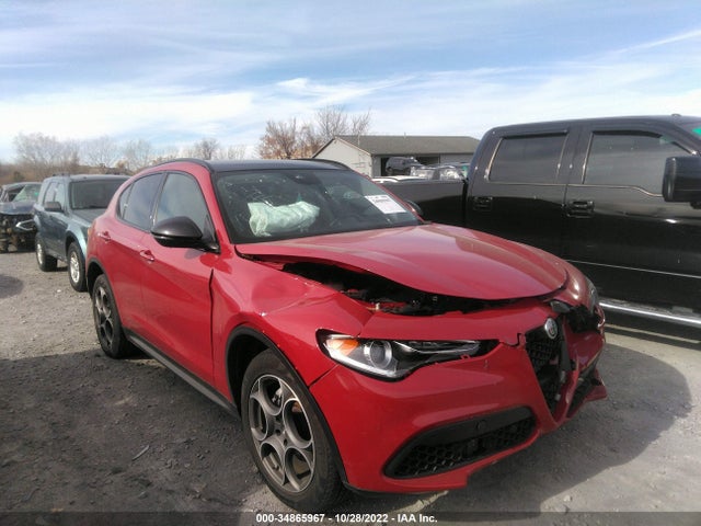 2021 Alfa Romeo Stelvio, VIN: ZASPAKAN7M7D17778