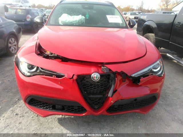 2021 Alfa Romeo Stelvio, VIN: ZASPAKAN7M7D17778