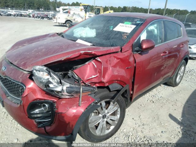 KNDPMCAC3H7295000 KIA Sportage Lx