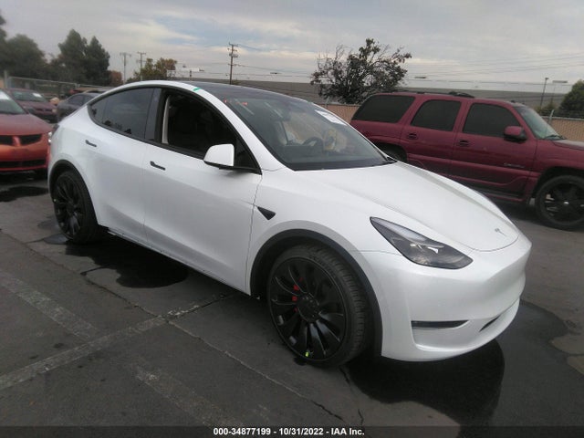 2023 Tesla Model Y, VIN: 7SAYGDEF6PF586009