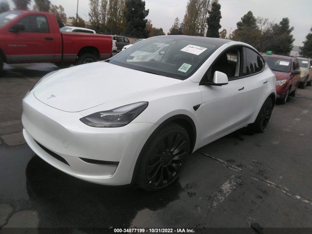 2023 Tesla Model Y, VIN: 7SAYGDEF6PF586009
