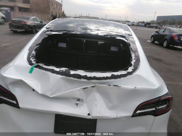 2023 Tesla Model Y, VIN: 7SAYGDEF6PF586009