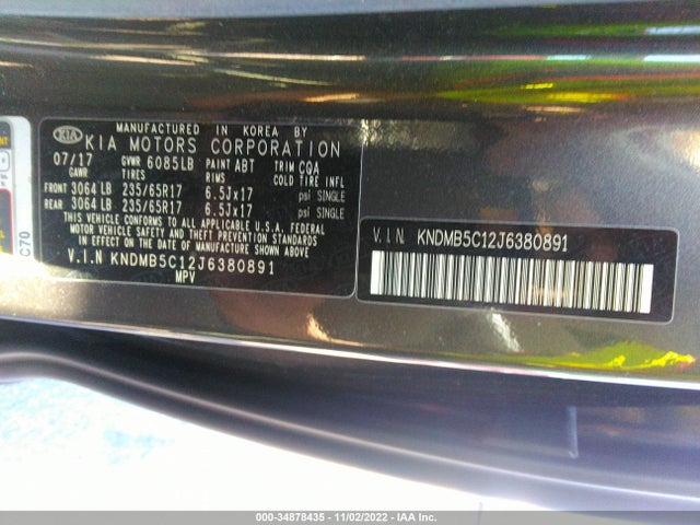 2018 Kia Sedona, VIN: KNDMB5C12J6380891