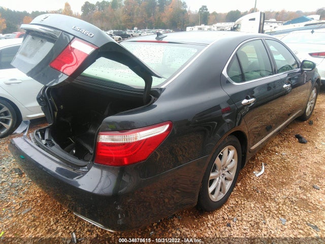 2009 LEXUS LS 460 VIN: JTHBL46FX95089979