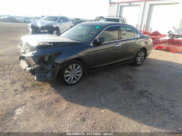 2011 HONDA ACCORD SDN EX-L VIN: 1HGCP3F86BA020307