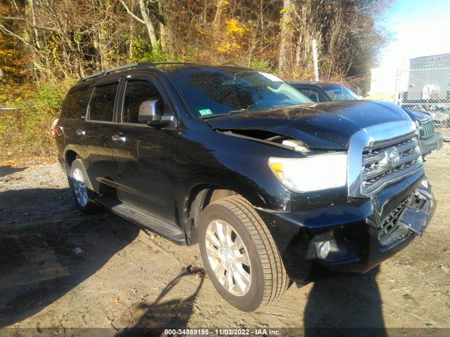 2010 TOYOTA SEQUOIA PLATINUM VIN: 5TDDW5G13AS033455
