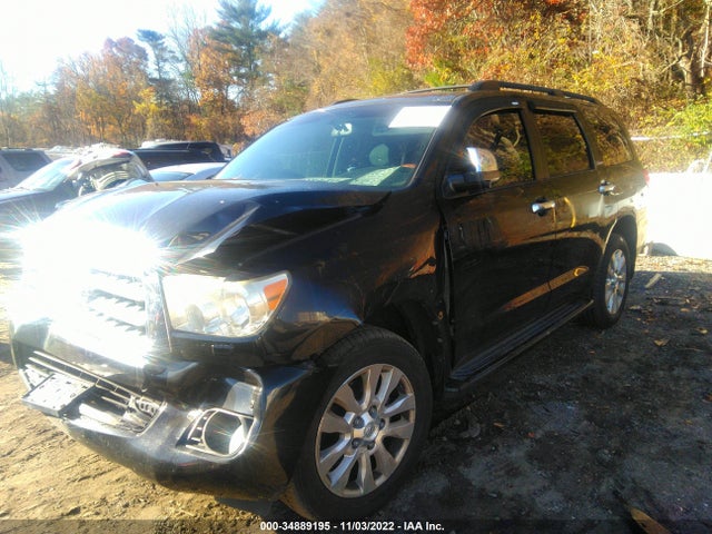 2010 TOYOTA SEQUOIA PLATINUM VIN: 5TDDW5G13AS033455