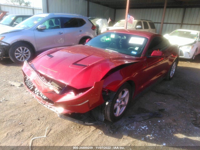 2019 Ford Mustang, VIN: 1FA6P8TH0K5169002