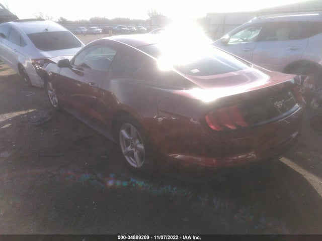 2019 Ford Mustang, VIN: 1FA6P8TH0K5169002