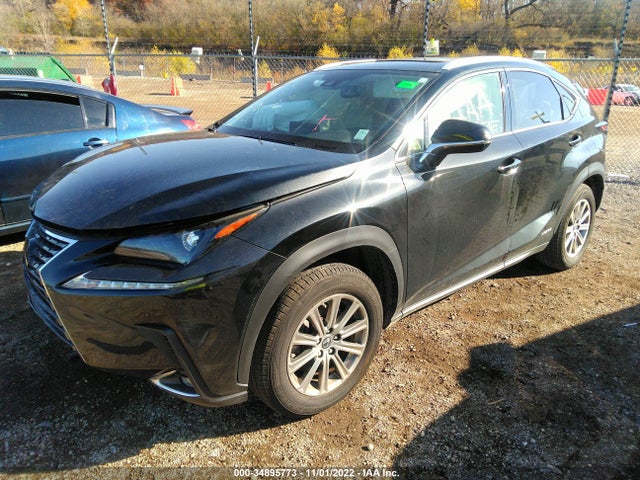 2021 Lexus NX, VIN: JTJDJRDZ2M2149254