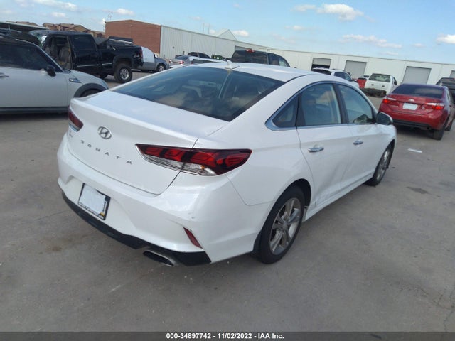 Hyundai SONATA SEL 2019 5NPE34AF6KH820094 Image 4