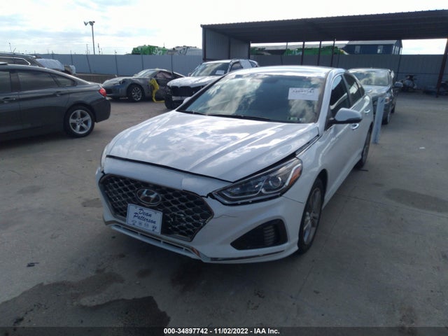 Hyundai SONATA SEL 2019 5NPE34AF6KH820094 Image 6