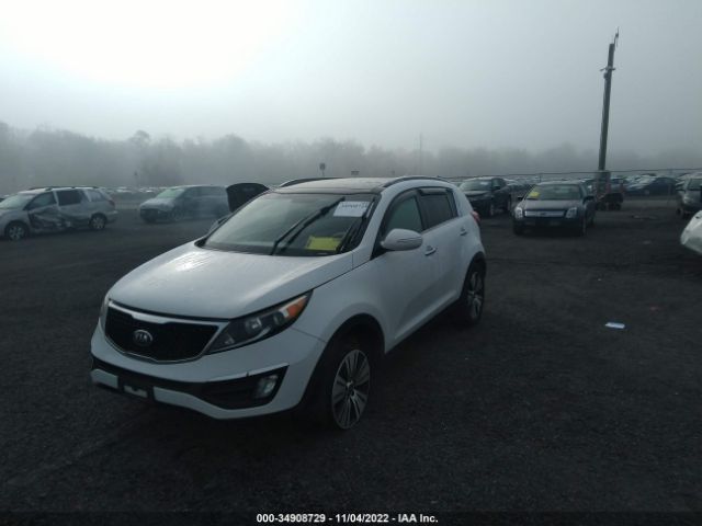 KNDPC3AC0F7771204 KIA Sportage